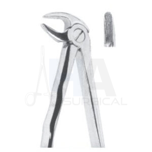 Extracting Forceps With Anatomically Shapad Handl