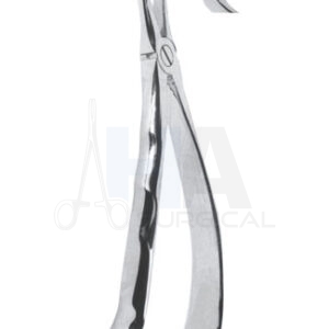 Extracting Forceps With Anatomically Shapad Handl