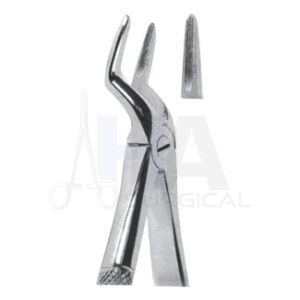 Extracting Forceps For Children – English Pattern